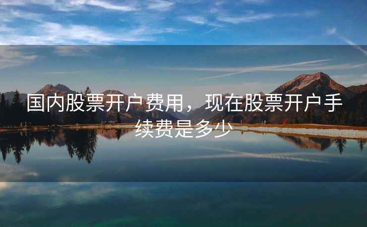 国内股票开户费用，现在股票开户手续费是多少  第2张