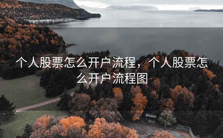 个人股票怎么开户流程，个人股票怎么开户流程图  第2张