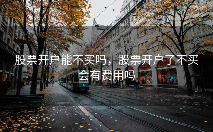 股票开户能不买吗，股票开户了不买会有费用吗  第2张