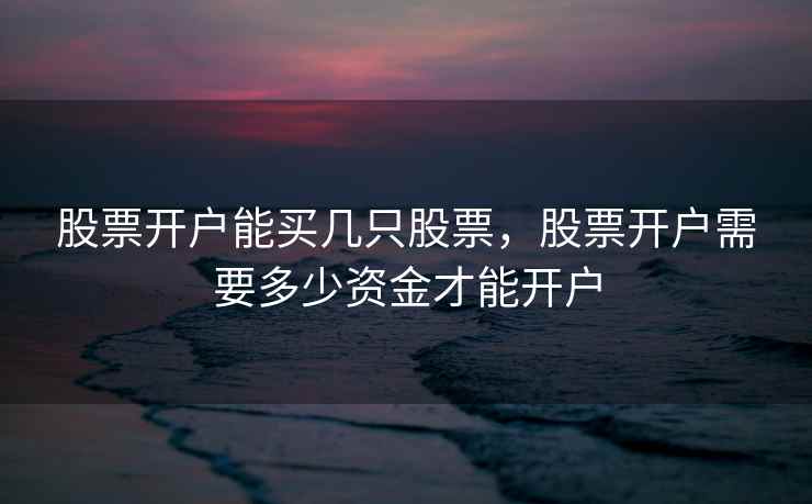 股票开户能买几只股票，股票开户需要多少资金才能开户  第2张