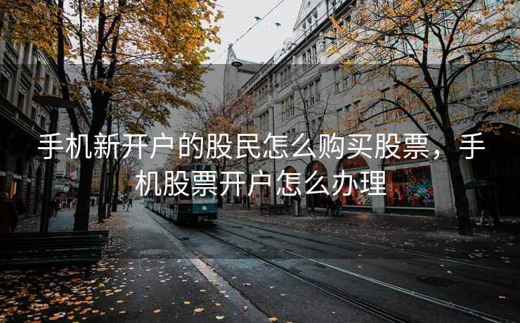 手机新开户的股民怎么购买股票，手机股票开户怎么办理  第2张