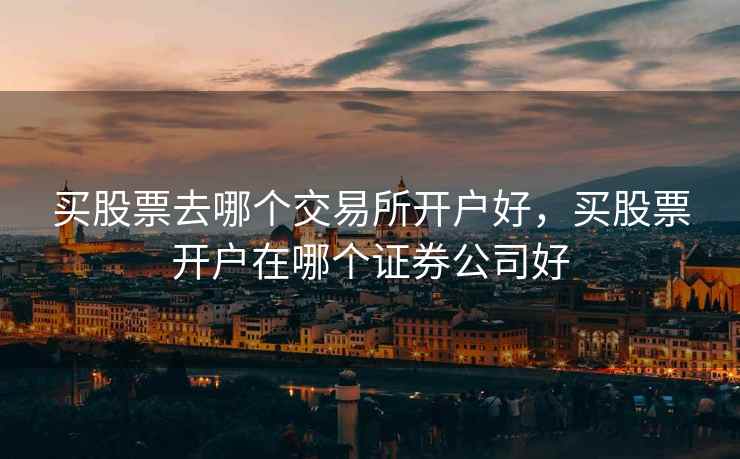买股票去哪个交易所开户好，买股票开户在哪个证券公司好  第1张