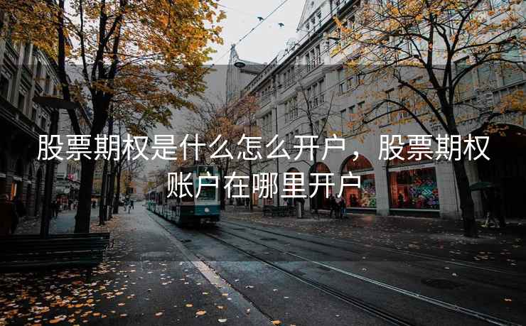 股票期权是什么怎么开户，股票期权账户在哪里开户  第1张