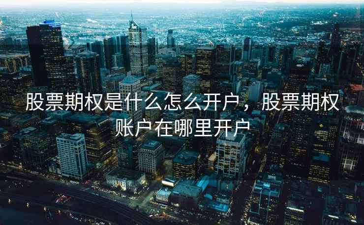 股票期权是什么怎么开户，股票期权账户在哪里开户  第2张