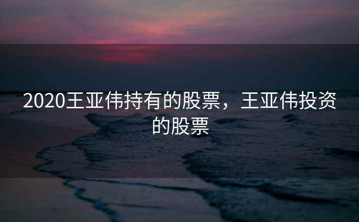 2020王亚伟持有的股票,王亚伟投资的股票 第2张 2020王亚伟持有的股票,王亚伟投资的股票 第2张