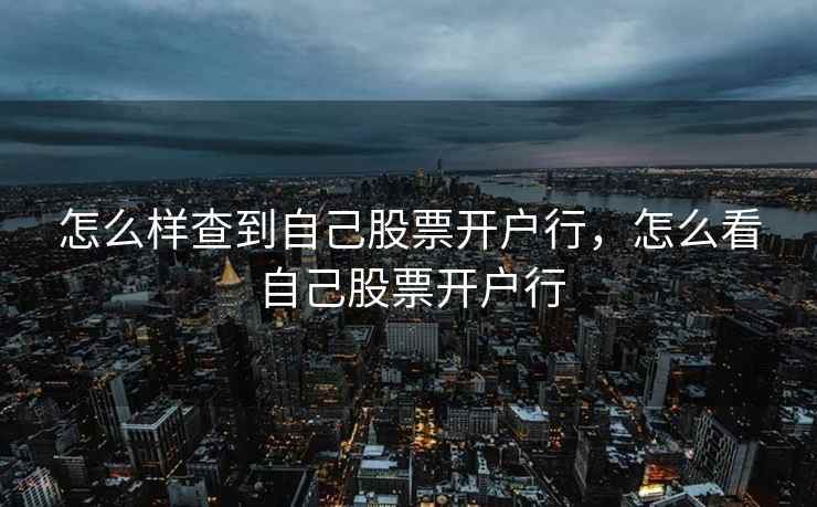 怎么样查到自己股票开户行,怎么看自己股票开户行 第2张 怎么样查到自己股票开户行,怎么看自己股票开户行 第2张