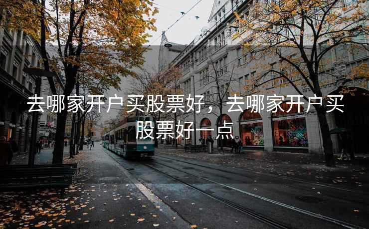 去哪家开户买股票好,去哪家开户买股票好一点 第1张 去哪家开户买股票好,去哪家开户买股票好一点 第1张
