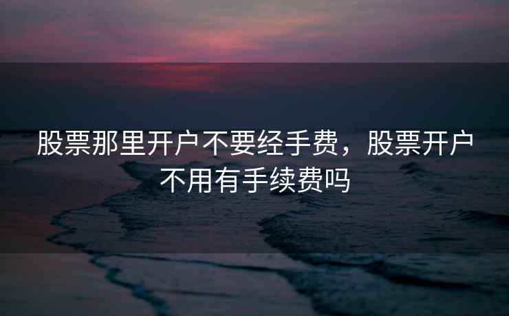 股票那里开户不要经手费，股票开户不用有手续费吗  第1张
