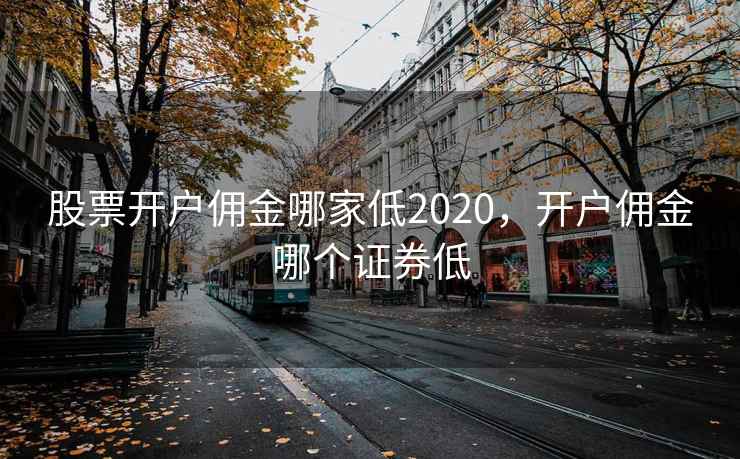股票开户佣金哪家低2020，开户佣金哪个证券低  第2张