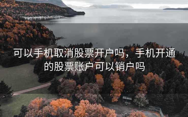 可以手机取消股票开户吗，手机开通的股票账户可以销户吗  第1张