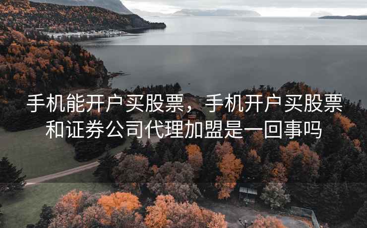 手机能开户买股票,手机开户买股票和证券公司代理加盟是一回事吗 第2张 手机能开户买股票,手机开户买股票和证券公司代理加盟是一回事吗 第2张