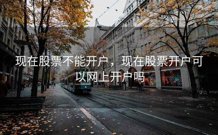 现在股票不能开户，现在股票开户可以网上开户吗  第2张