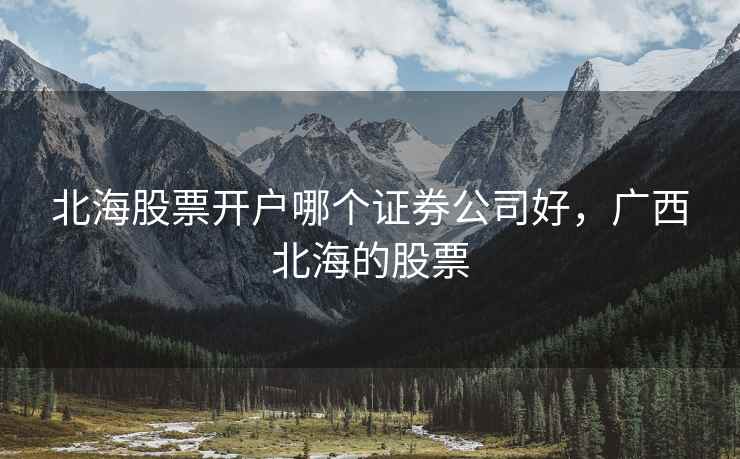 北海股票开户哪个证券公司好，广西北海的股票  第2张